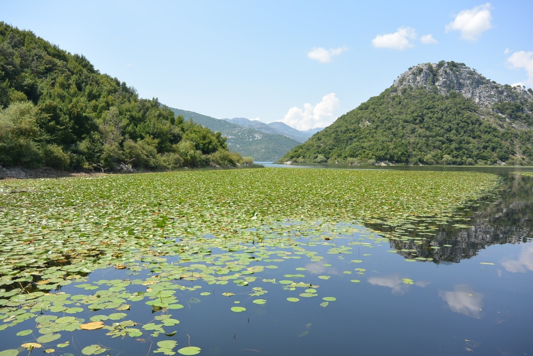 Lake Skadar waters, Virpazar Village, Rijeka Crnojevića fishing town, Pavlova Strana viewpoint