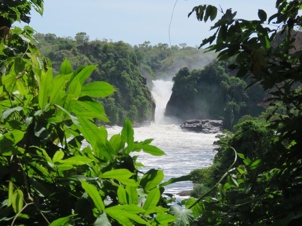 Murchison Falls, the Victoria Nile, Ziwa Rhino Sanctuary, savannah grasslands