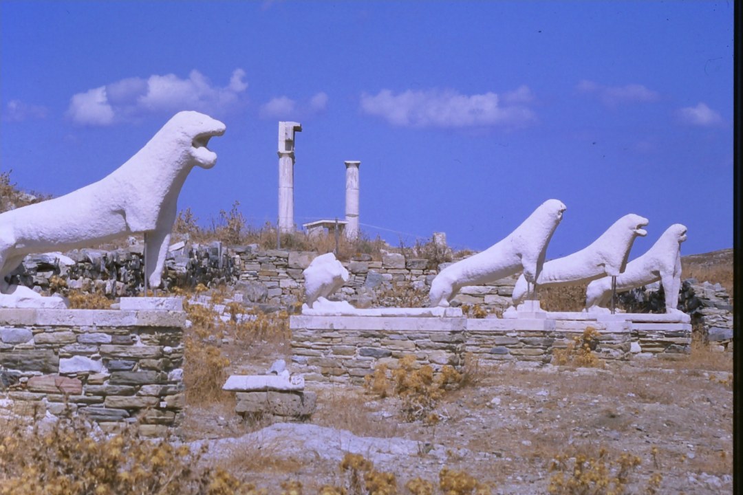 Delos, old houses, the theatre, the museum