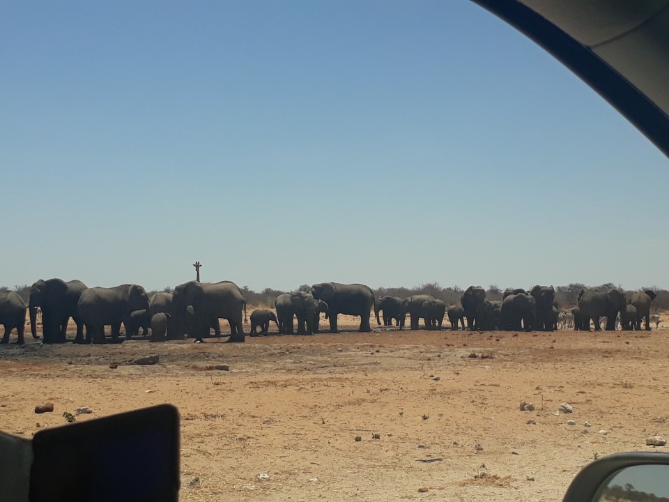 Sossusvlei and Big Daddy, Sesriem Canyon, Swakopmund coastline, Etosha National Park