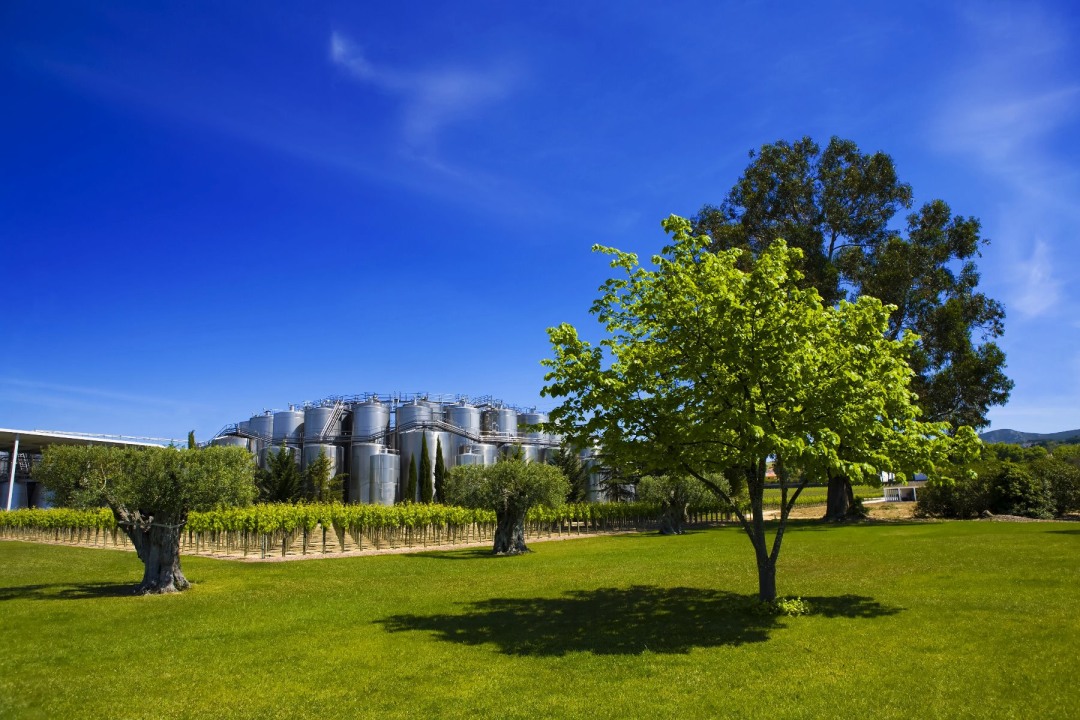 Quinta da Bacalhôa vineyards, José Maria da Fonseca cellars, Lisbon to Setúbal train ride