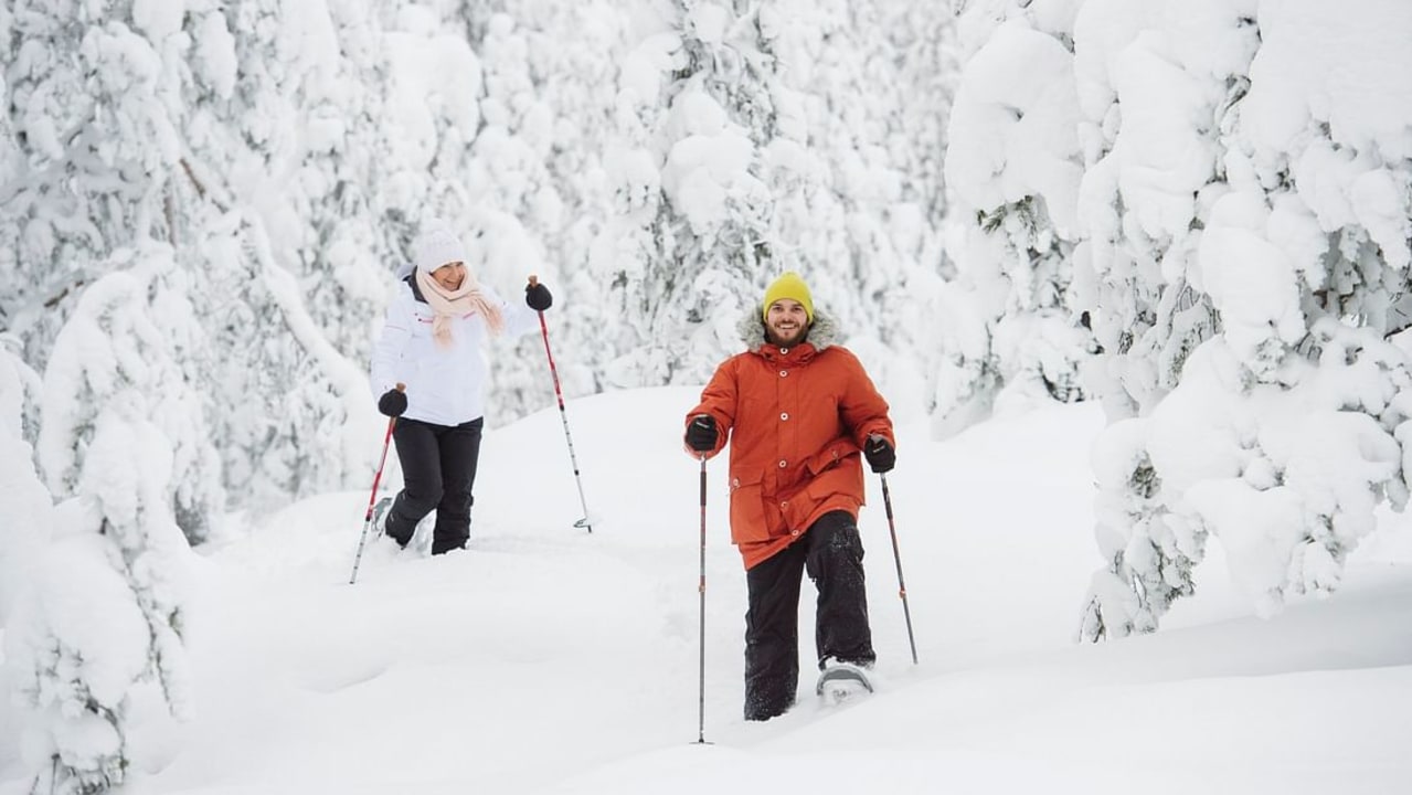 Rovaniemi, snowy Arctic Circle forest, forest campfire barbecue