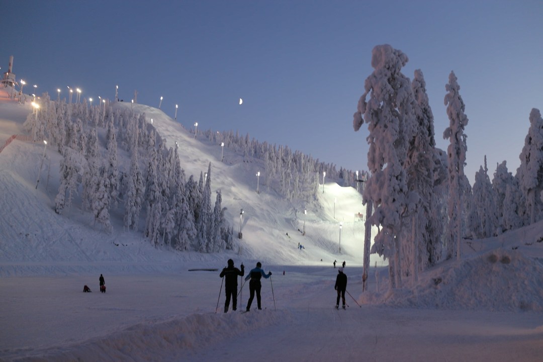 Kuusamo forests, Rukatunturi slopes, frozen swamps