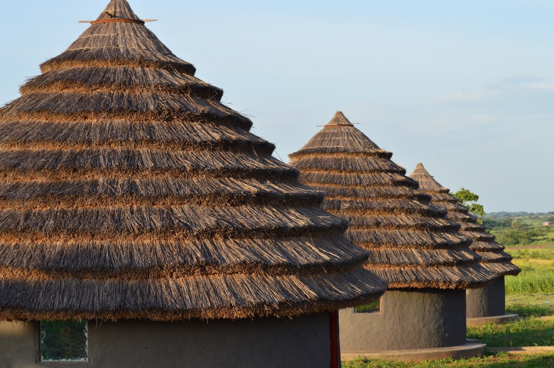 Nile boat cruise, base of Murchison Falls, Delta Point