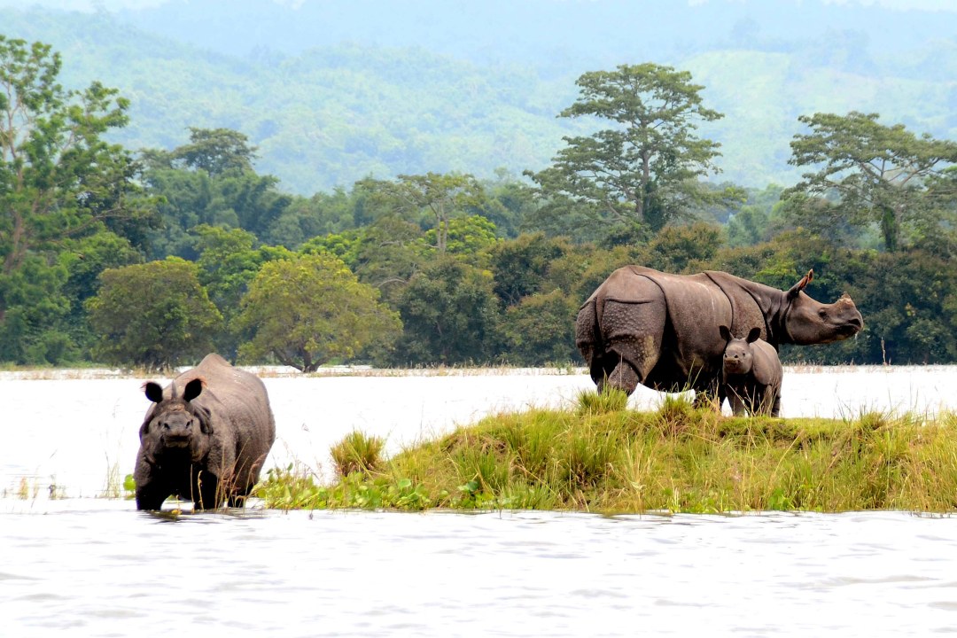 Brahmaputra River, Kamakhya Temple, Kaziranga National Park, Taj Mahal