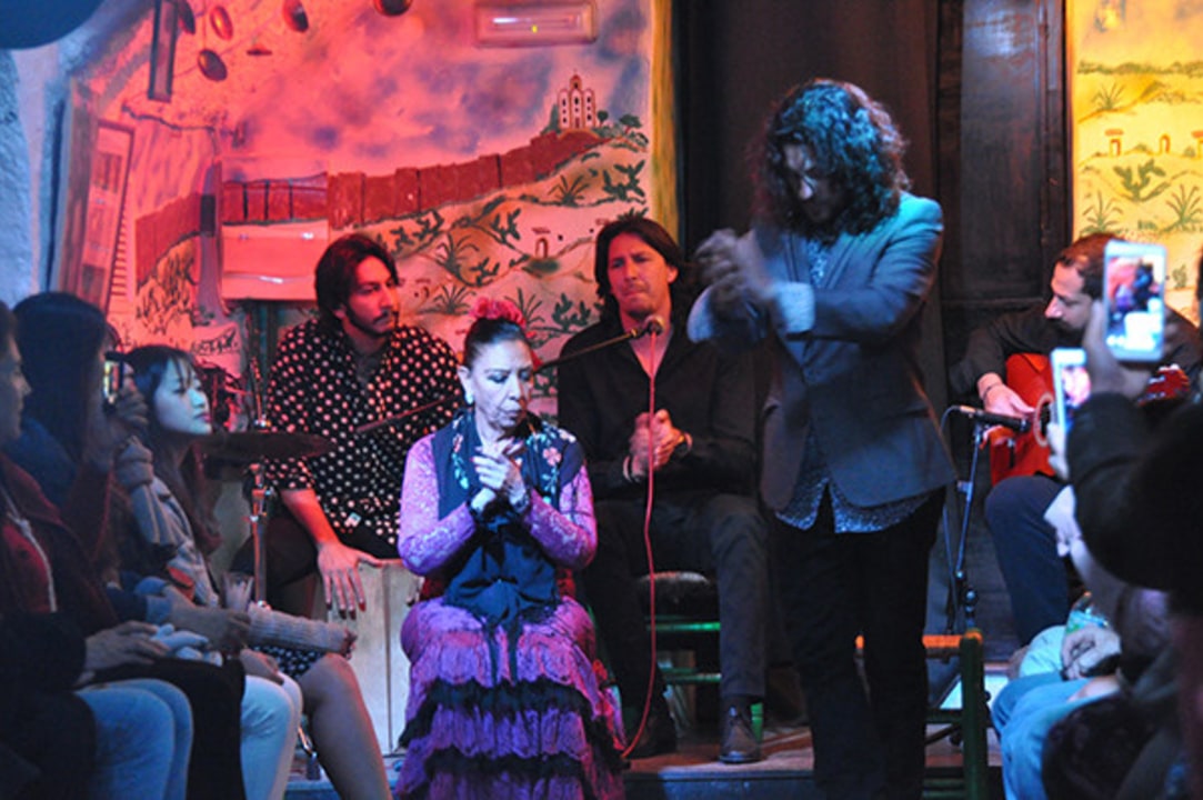 Sacromonte caves, Albayzin neighbourhood, flamenco shows, Zambras celebrations