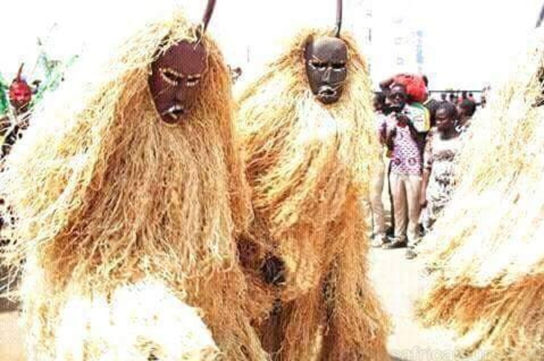 Ouidah sacred forest, python temple, Grand Popo beach festivals, Ganvié stilt village