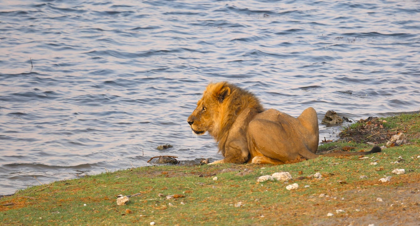 Victoria Falls, Zambezi River sunset cruise, Hwange National Park wildlife