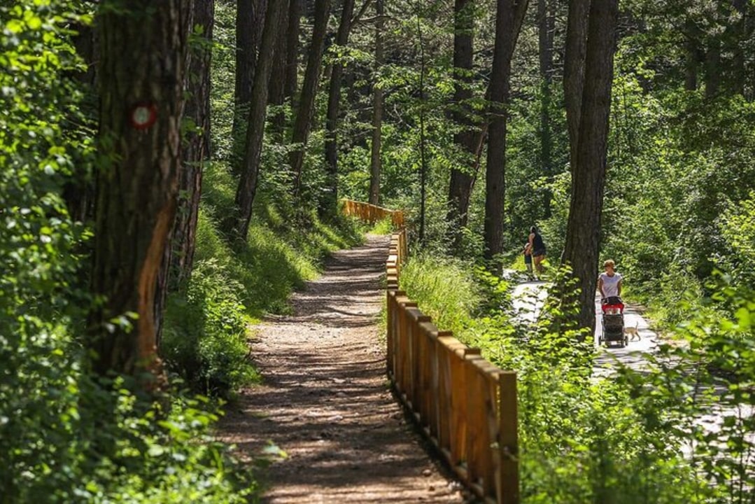Sutjeska National Park, Tara Canyon, Kravica Waterfall, Neum