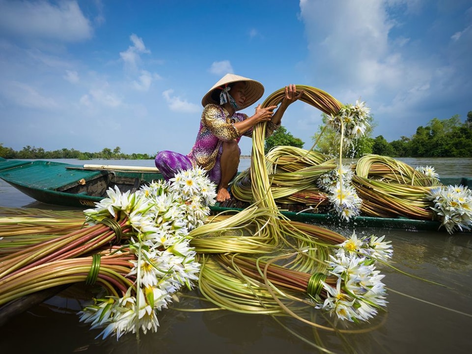 Bến Tre, Palm Creek, Hùng Vương Pier