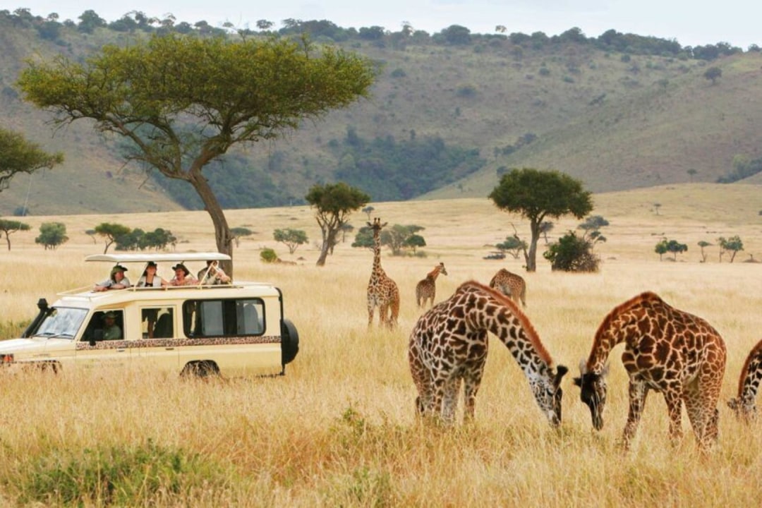 Tarangire National Park, Lake Manyara National Park, Serengeti National Park, Ngorongoro Crater
