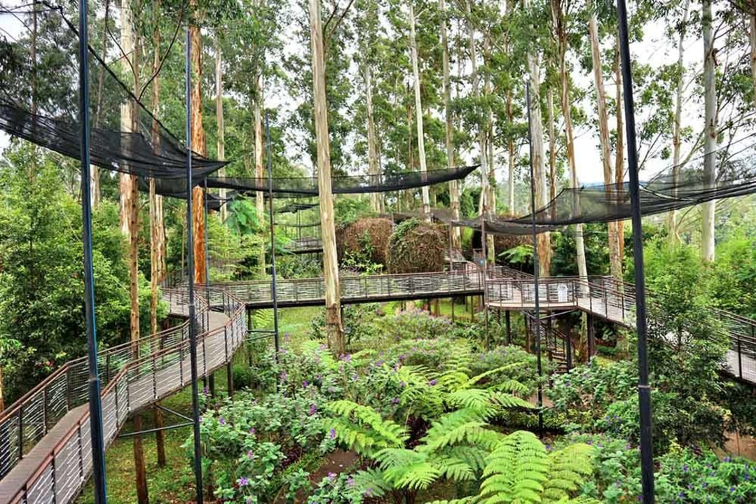National Monument, Puncak Pass, Situ Patenggang Lake, Nangka Waterfalls