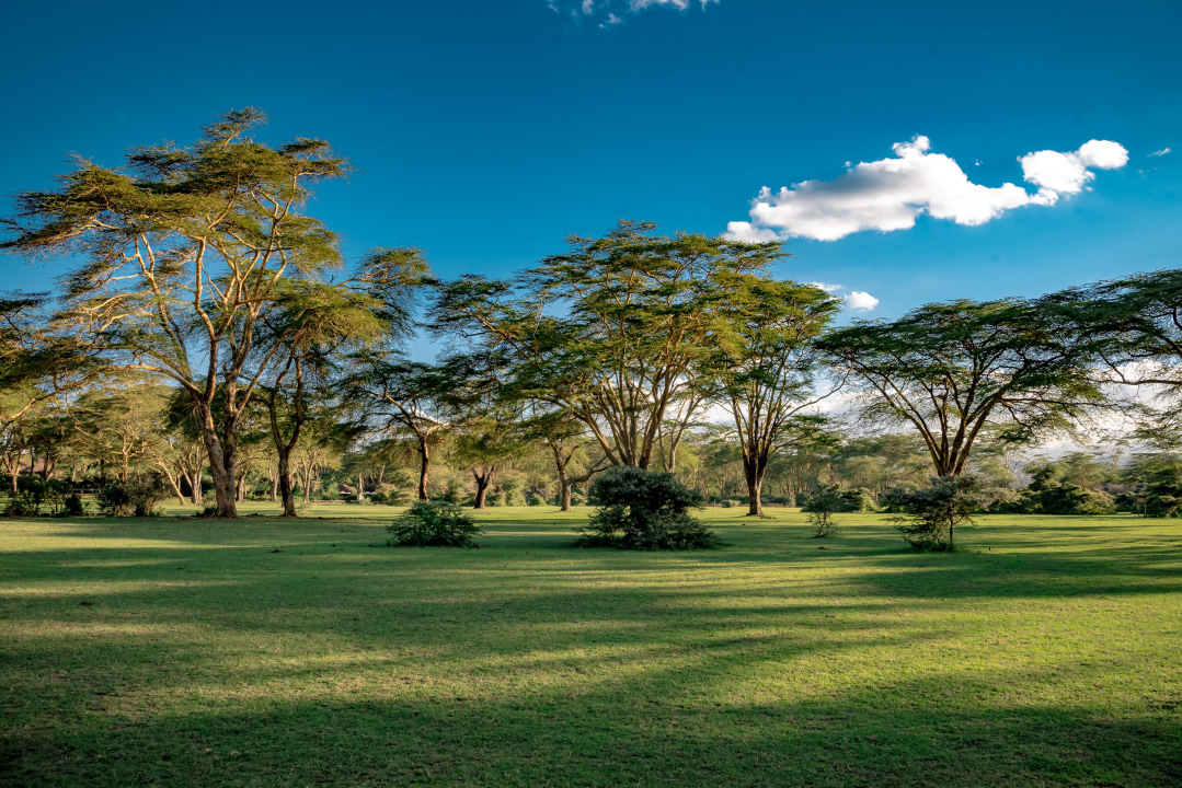 Cycling in Hell's Gate National Park, Lake Nakuru National Park flamingoes, Naivasha Kongoni Lodge, Great Rift Valley