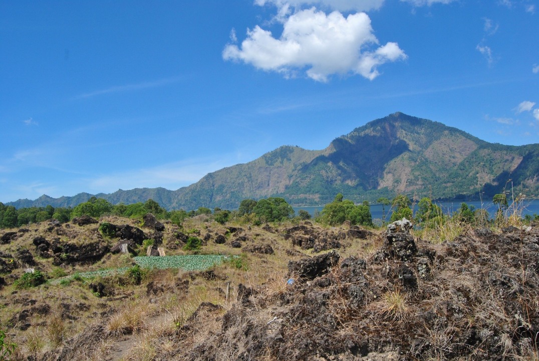 Tegalalng Rice Terrace, Lake Batur caldera, Tirta Empul Temple