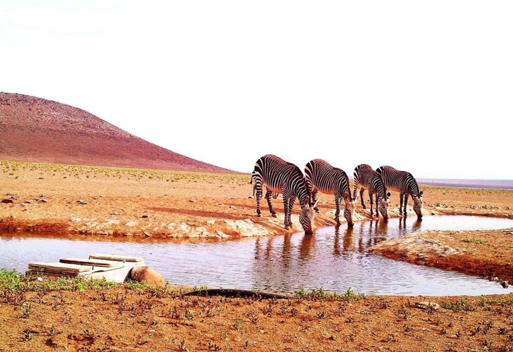 Nuweveld Mountains, Karoo National Park plains, the Great Karoo