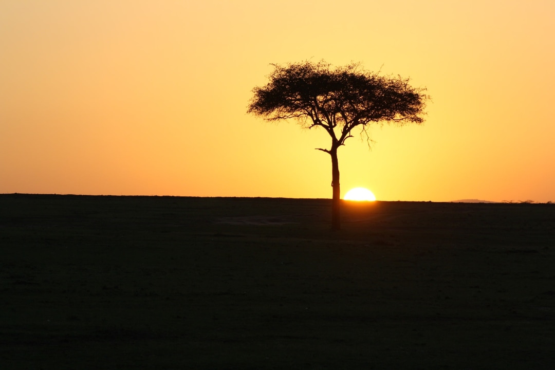 Great Rift Valley, Maai Mahiu views, Masai Mara National Reserve grasslands