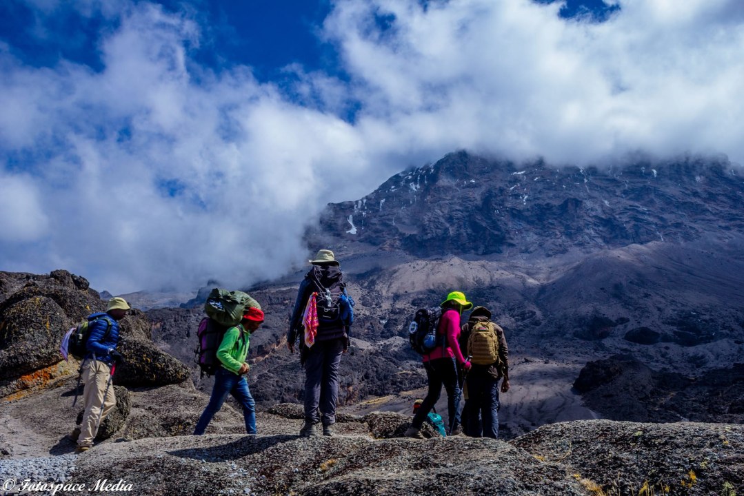 Machame Gate rainforest, Shira Plateau moorland, Barranco Wall and Lava Tower, Uhuru Peak summit