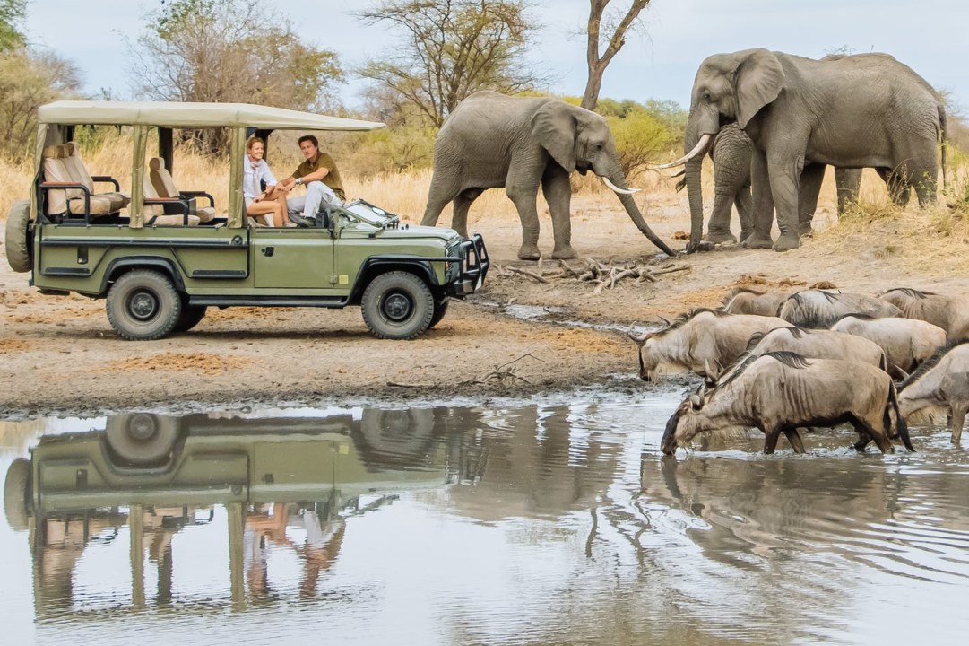 Moyo Tented Camp, Serengeti National Park grasslands, Zanzibar
