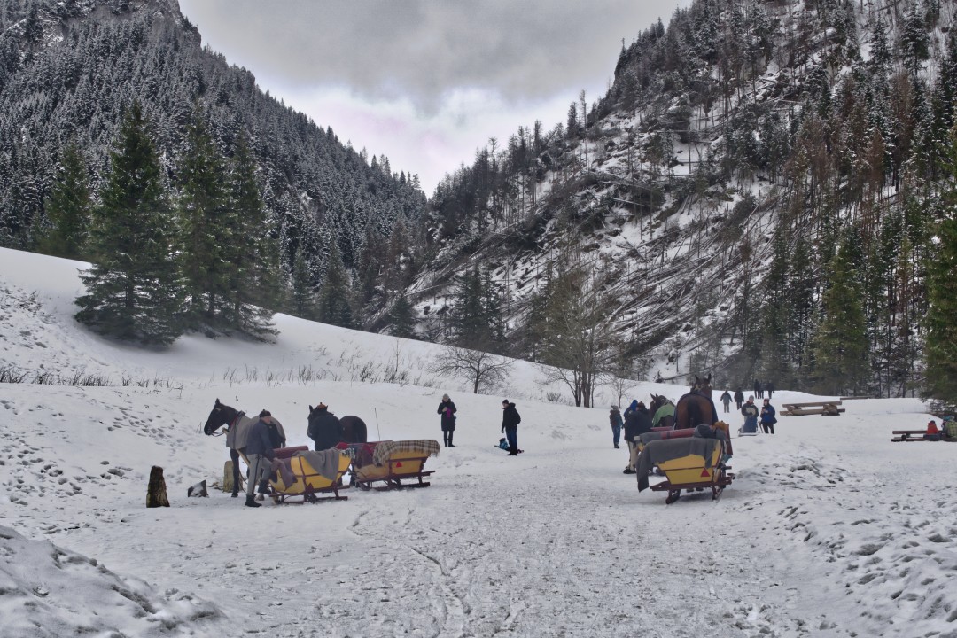 Kraków, Poland, Zakopane, horse-drawn sleigh, snowy mountain landscape