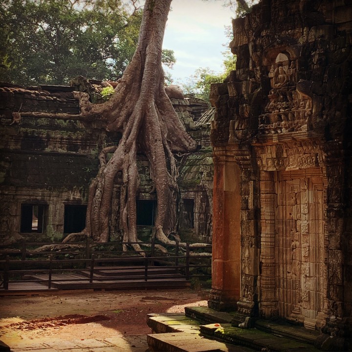 Ta Prohm's tree-clad ruins, Angkor Wat temple complex, Bayon with its smiling faces, Ta Nei forest temple