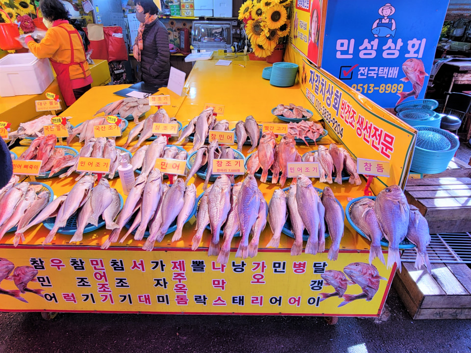 Gamcheon Culture Village's brightly painted houses, Songdo Beach skywalk, Jagalchi Market stalls