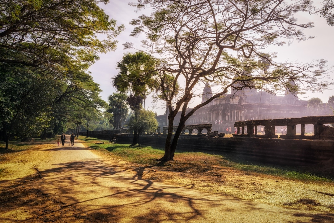 Angkor Wat, Bayon, Ta Prohm, Terrace of the Leper King