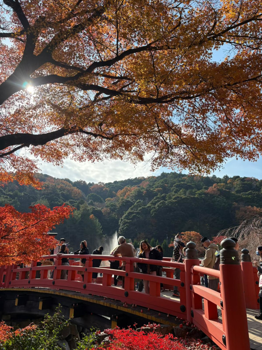 Katsuoji Temple and red Daruma dolls, Umeda Sky Building views, Osaka Castle grounds, Tsūtenkaku Tower night lights