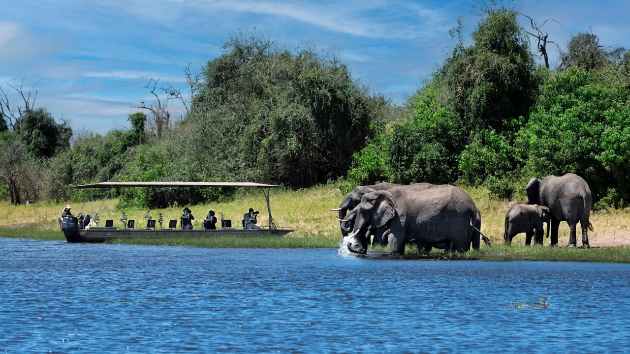 Kafue River sunset cruise, Chobe River game-viewing cruise, Hwange National Park elephant herds, Mighty Victoria Falls