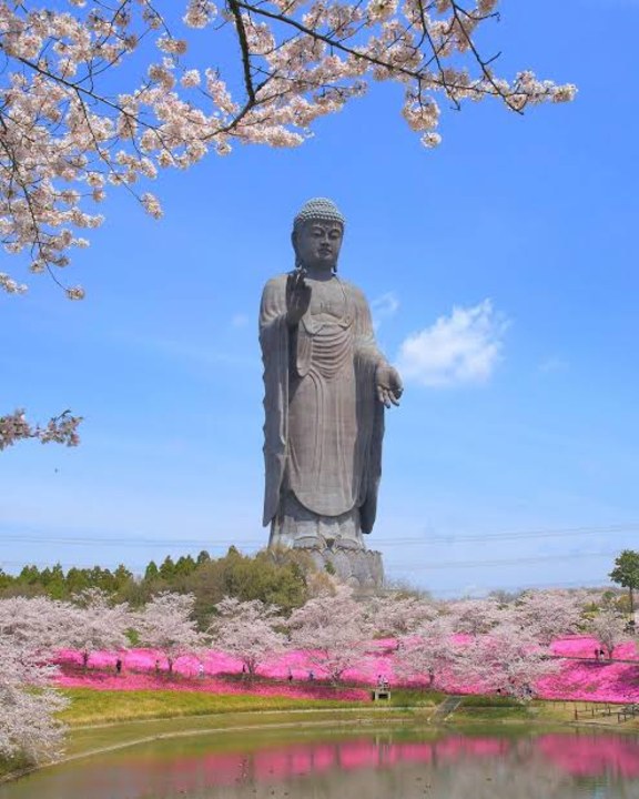 Mount Tsukuba peaks, Kanto Plain vistas, Mt. Fuji backdrop, Ushiku Daibutsu gardens