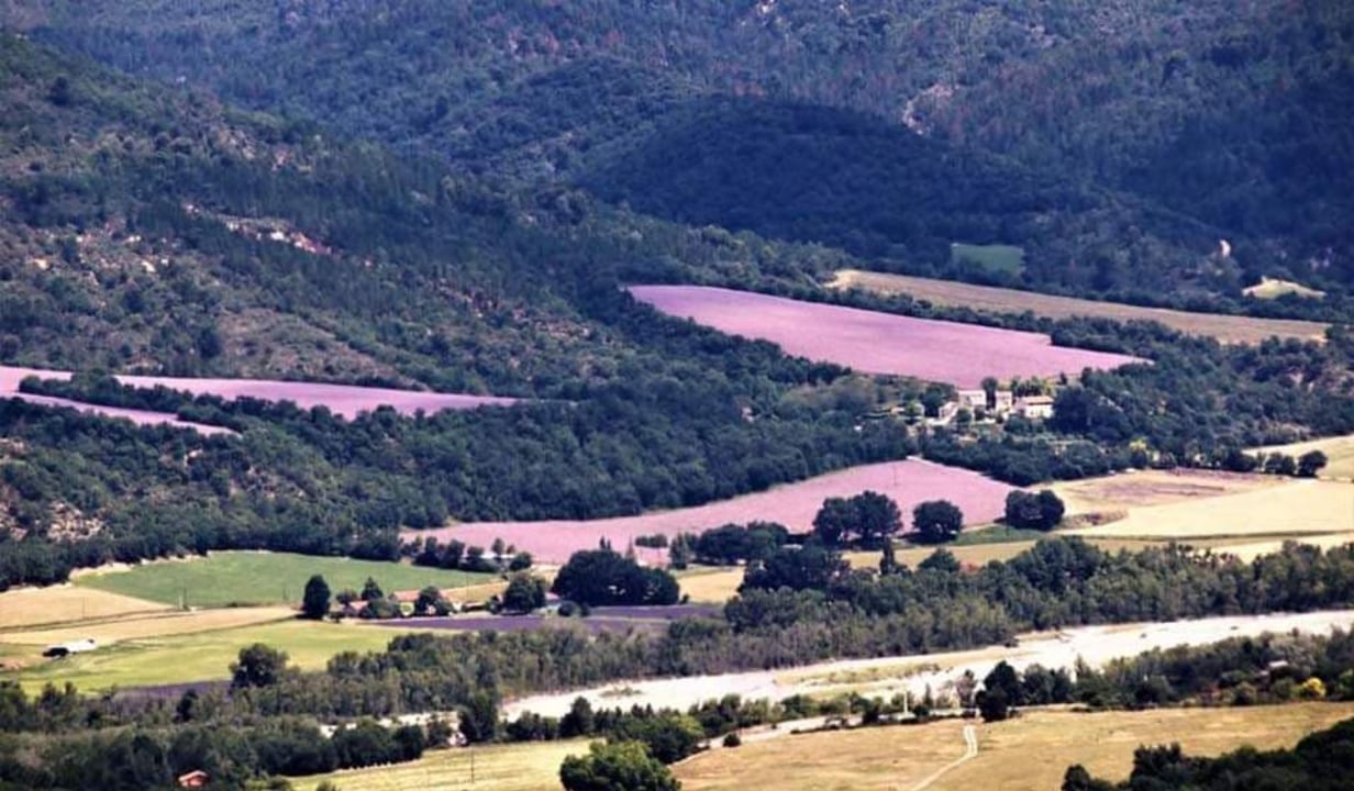 Plateau de Valensole lavender fields, Moustier-Sainte-Marie village, Sainte-Croix Lake, Verdon Gorges