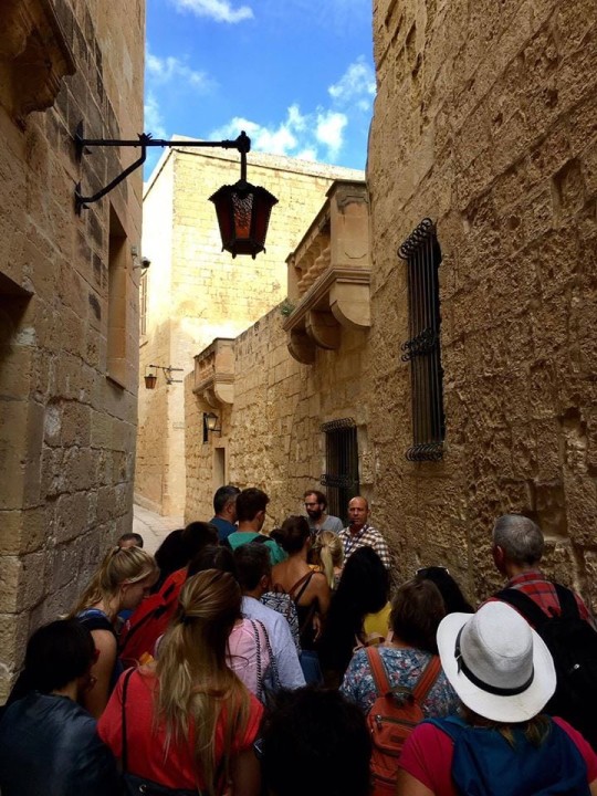 Mdina, St Paul's Grotto, Palazzo Falson Historic House Museum, city ramparts