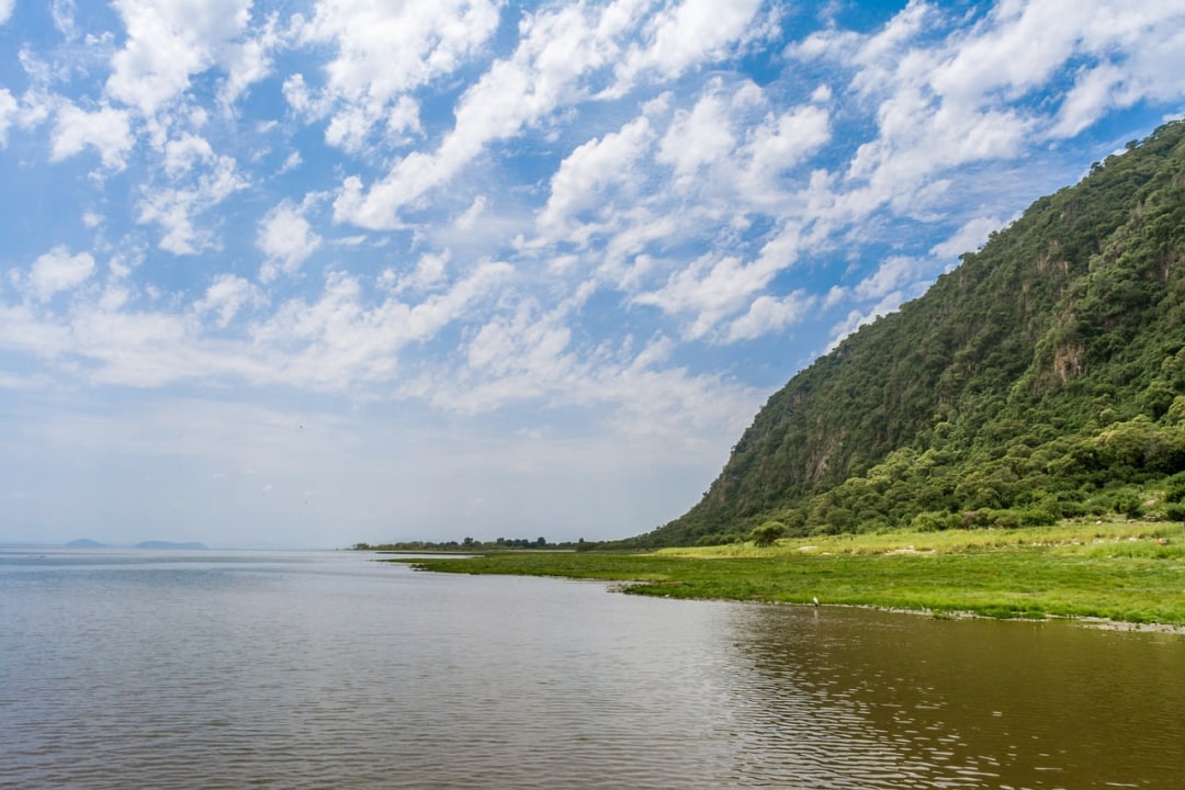 Lake Manyara National Park, tree-climbing lions, Tarangire National Park, baobab-dotted grasslands