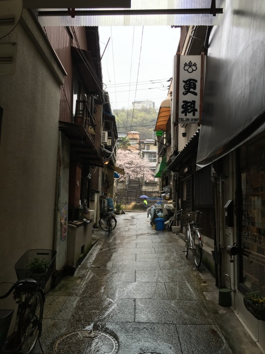 Hondori Shopping Street, Senkoji Park Lookout, Seto Inland Sea