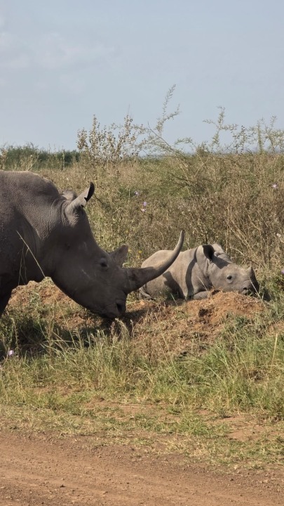 Great Rift Valley, Hell's Gate Gorges and Obsidian Caves, Karuru Falls, Ol Pejeta Conservancy