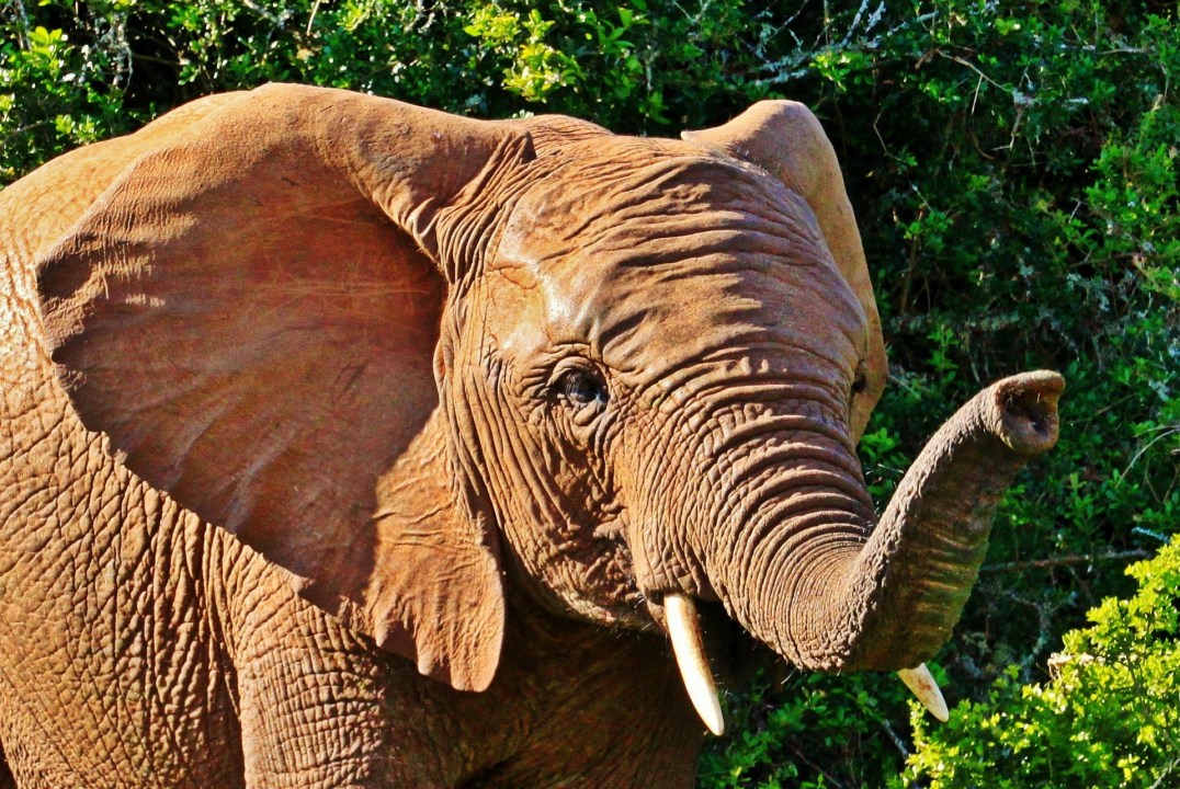 Tarangire National Park, Lake Manyara National Park, Fanaka Campsite at Mto wa Mbu