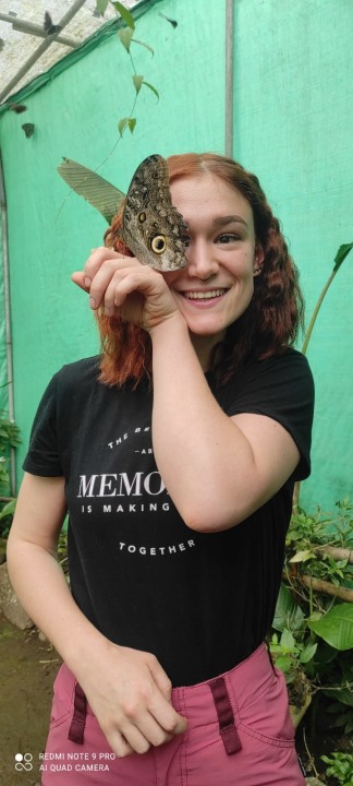 Mindo Cloud Forest, hummingbird heaven, butterfly sanctuary