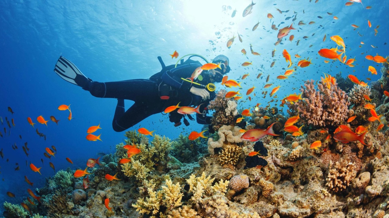 Hurghada Marina, Red Sea, comfortable and luxurious boat