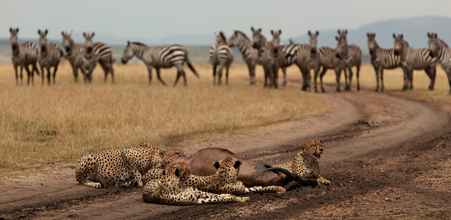 Amboseli National Park, Mt. Kilimanjaro, Nairobi