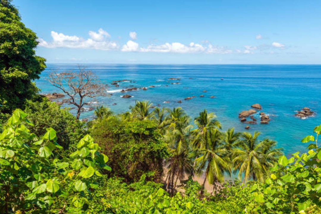 Paraiso Verde-Corcovado, Drake Bay, waterfall and botanical garden