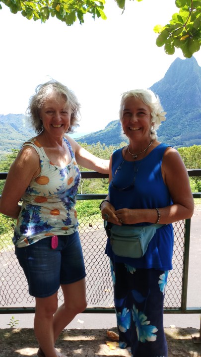 Belvedere Lookout, Cook's Bay, Opunohu Bay, Maharepa village