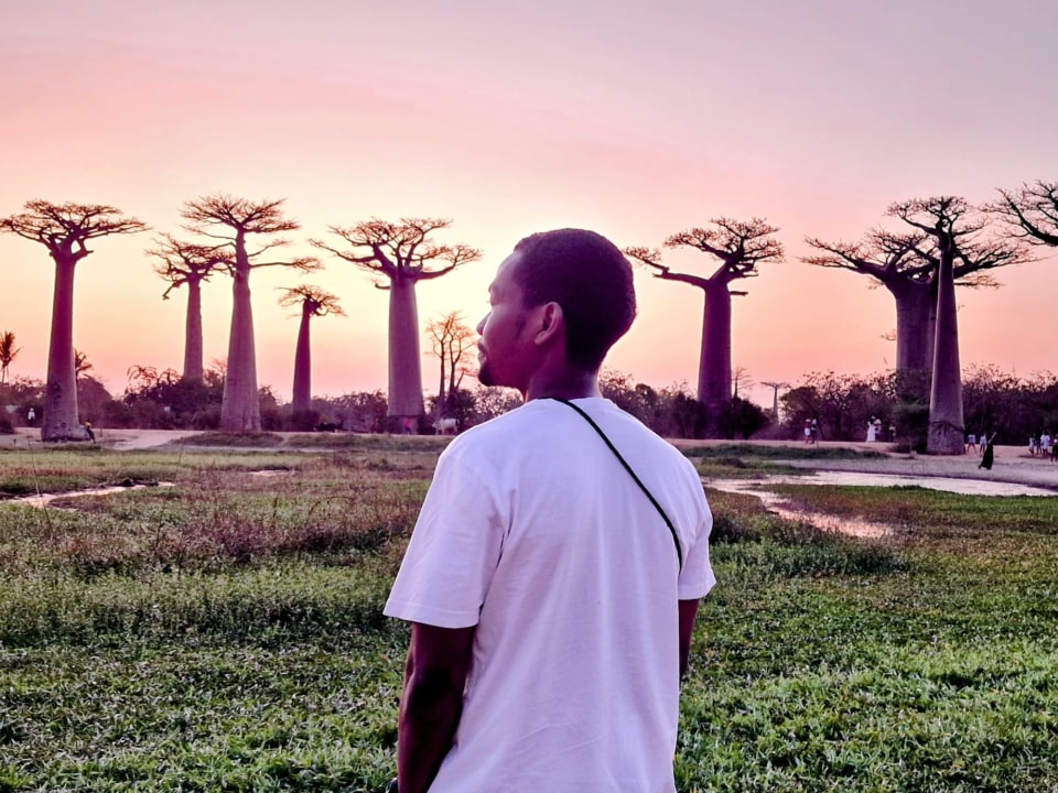 Manambolo River canoe, Big Tsingy limestone needles, Avenue of the Baobabs at sunset