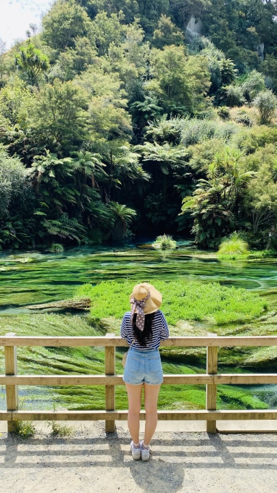 Hobbiton Movie Set, Bag End, the Green Dragon Inn, Waitomo Glowworm Caves