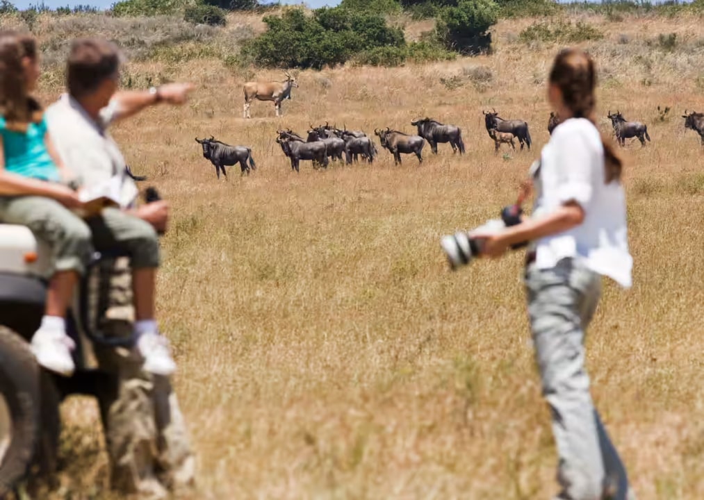 Maasai Mara plains, Serengeti National Park grasslands, Ngorongoro Crater, Zanzibar's pristine beaches