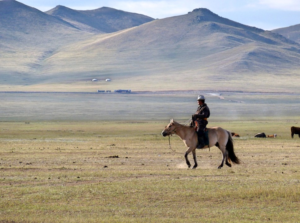 Khustain Nuruu National Park, Khogno Khan Nature Reserve, Karakhorum, Elsen Tasarhai