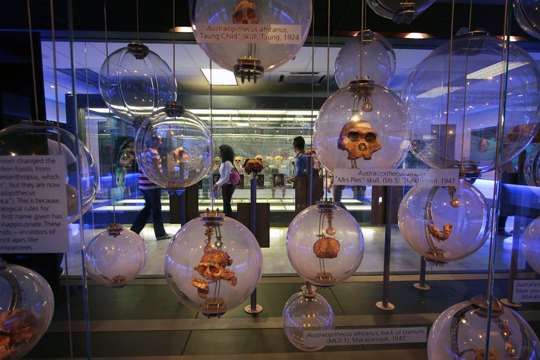 Sterkfontein Caves, Maropeng Visitor Centre, Cradle of Humankind