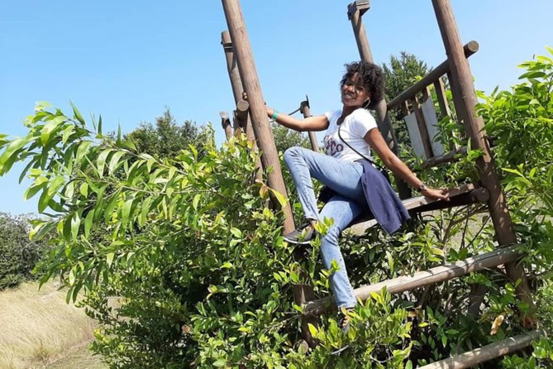 National Museum, Lekki Conservation Centre, a boulevard of coconut trees