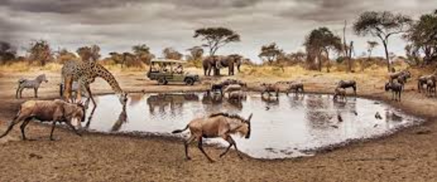 Lake Manyara's lush groundwater forests, Serengeti plains, Ngorongoro Conservation Area