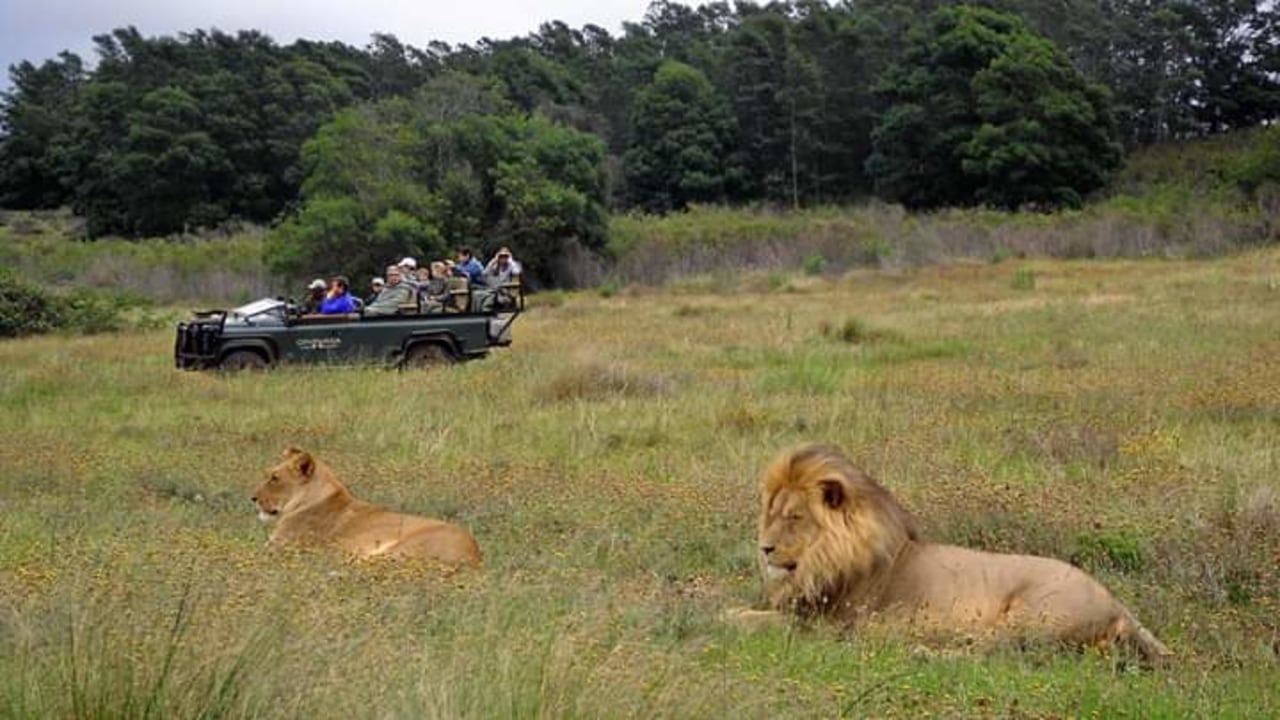 Chobe River, Chobe National Park, Zambezi River