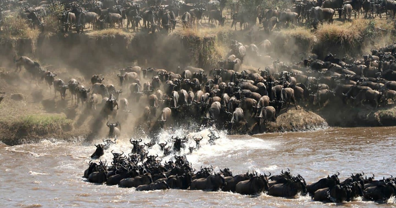 Tarangire National Park baobab-dotted plains, Serengeti National Park open plains, Lake Manyara lakeside birdlife