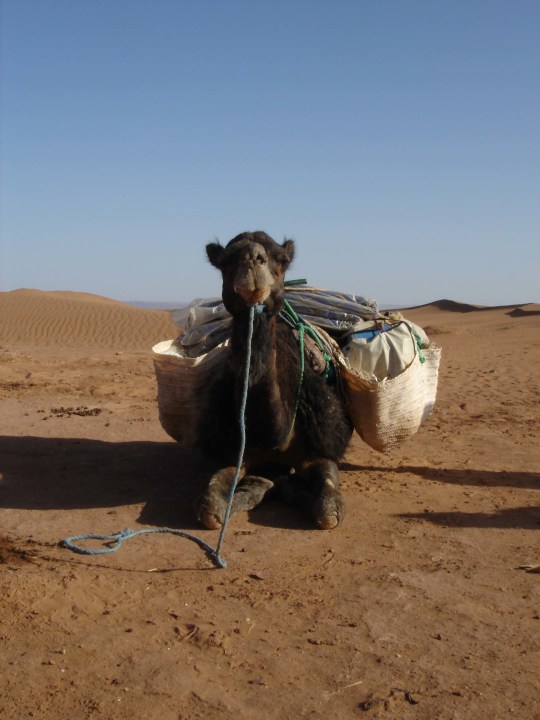 Tizi n'Tichka pass, Aït Benhaddou, Taourirt Kasbah, Tinfou Dunes
